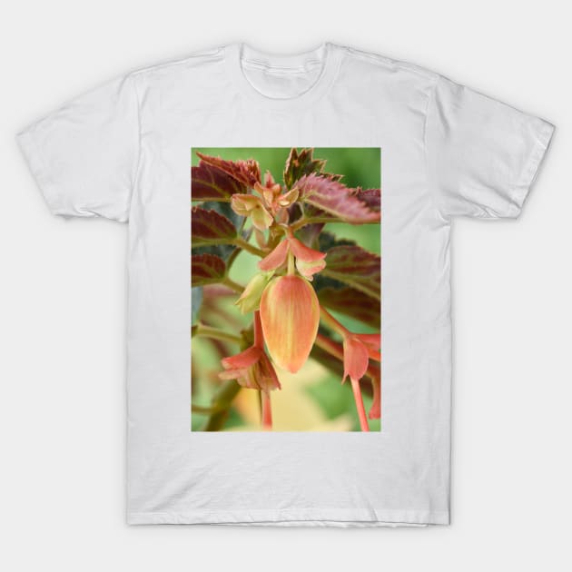 Begonia bud T-Shirt by chrisburrows